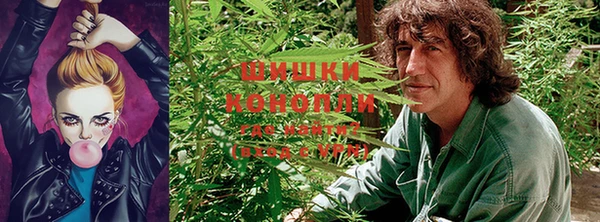 a pvp Зерноград