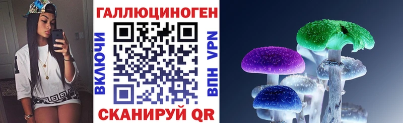 Купить  Жердевка  Галлюциногенные грибы Psilocybe 